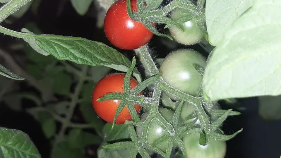 Фото: Юлия Габбасова