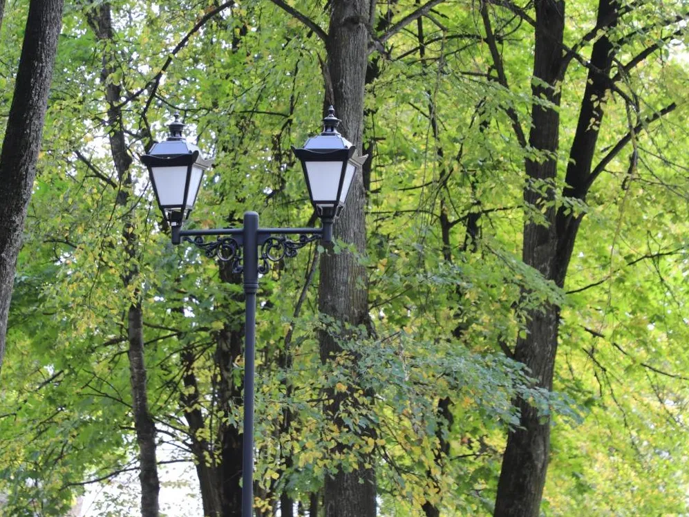 Фото: пресс-служба администрации Наро-Фоминского г.о.&nbsp;