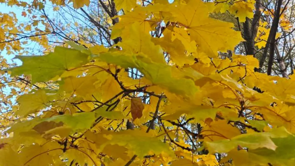 Фото: REGIONS/Ольга Никитина