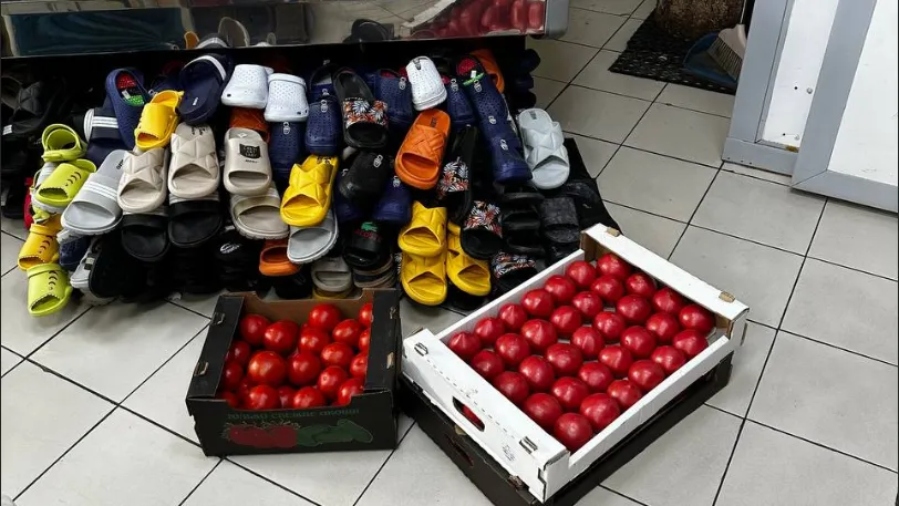 Фото: пресс-служба администрации г.о.Котельники