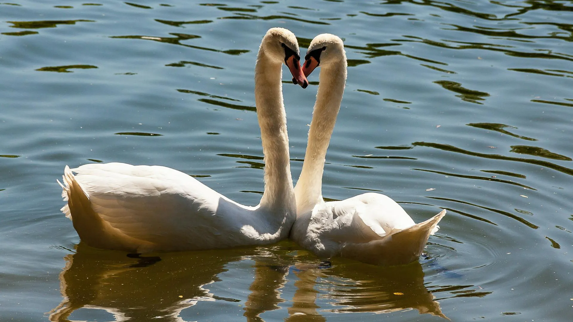 Roman Denisov/Global Look Press