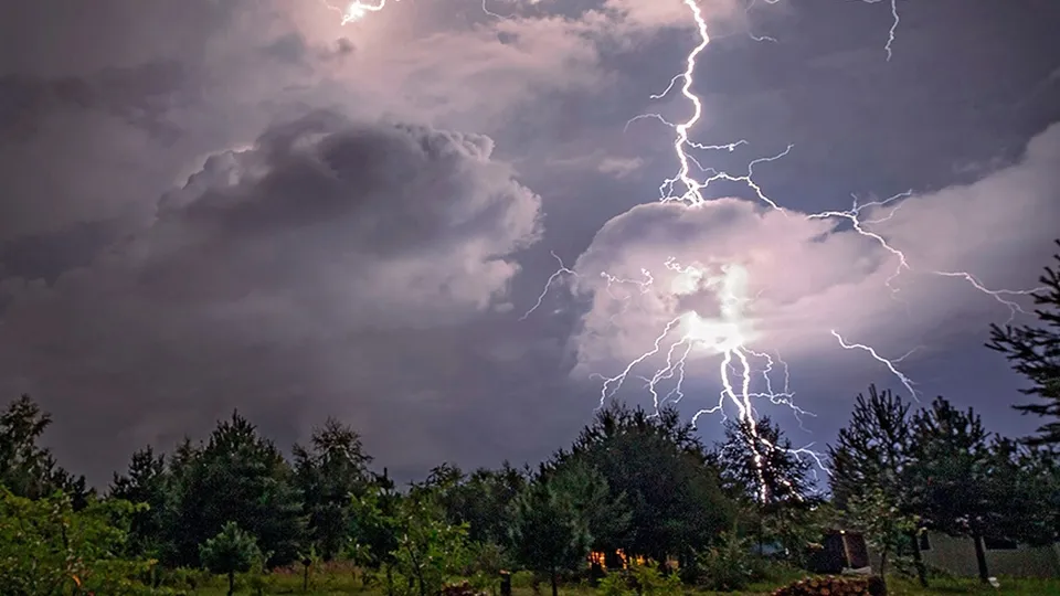 Фото: МедиаБанк Подмосковья/Алексей Окунеев