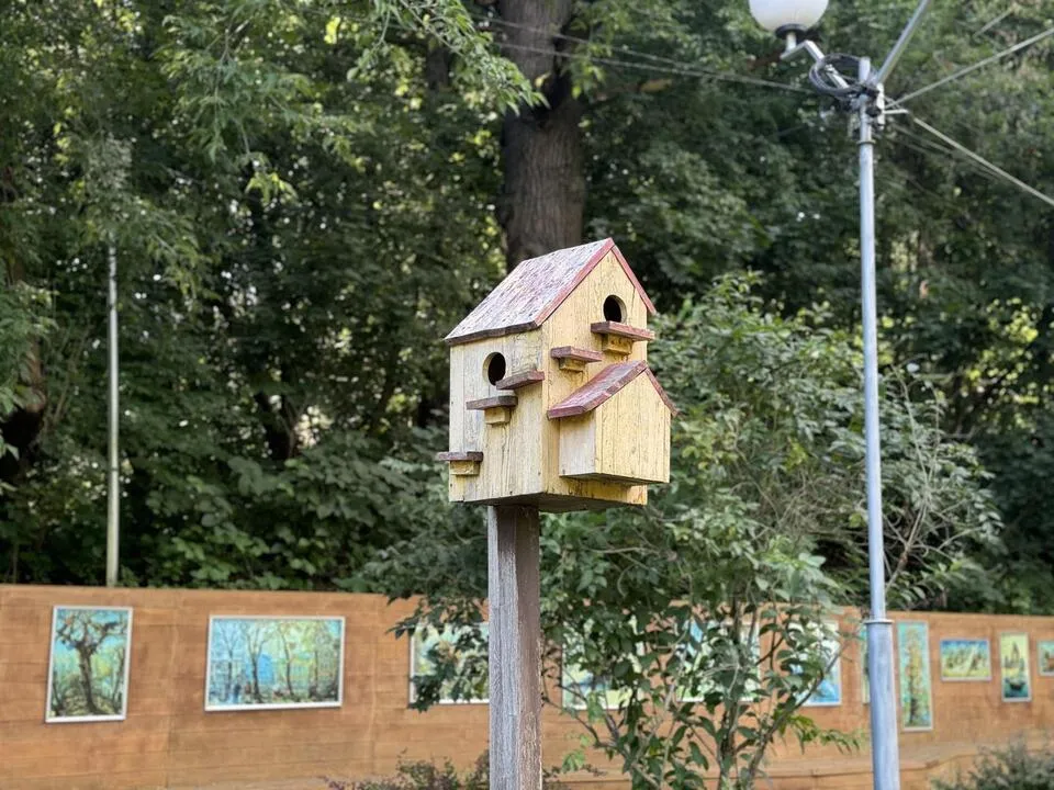 Фото: Полина Абраменко