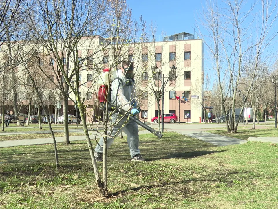 Фото: МедиаБанк Подмосковья / Ксения Казакова