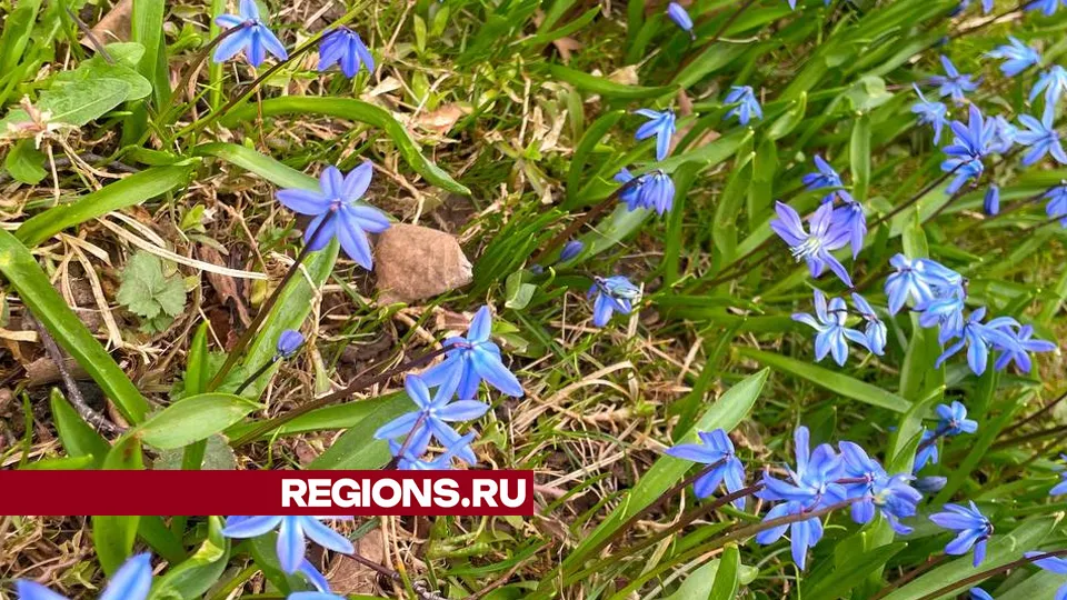 Фото: Дорина Ермураки