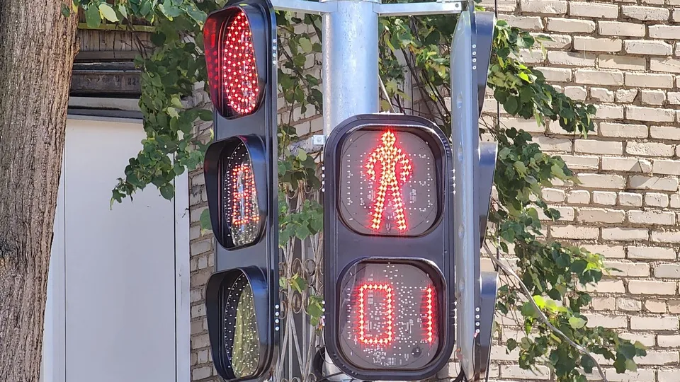 Фото: МедиаБанк Подмосковья/Роман Савельев