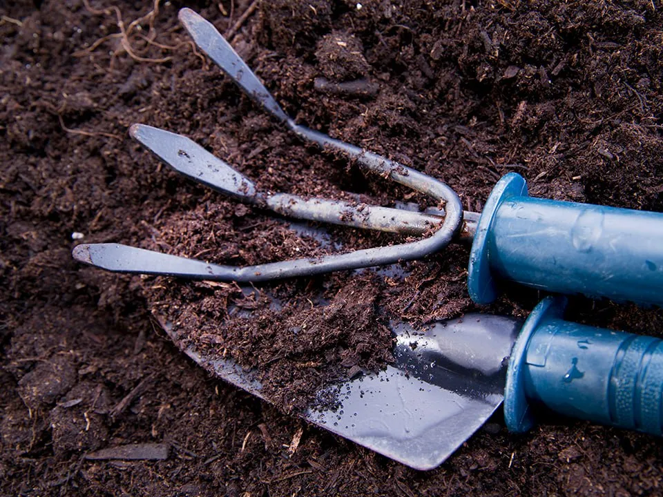 Фото: istockphoto.com/fotografiche