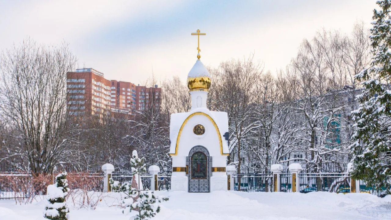 Медиаархив Подмосковья