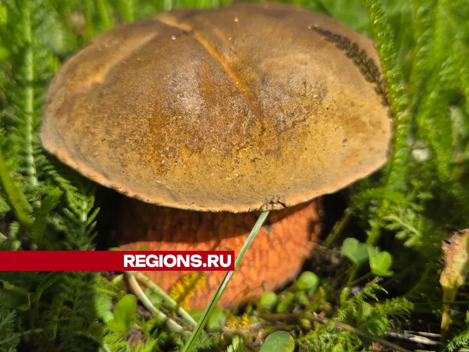 Фото: Емилия Деркач