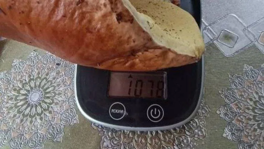 ТГ-канал Zamkadye