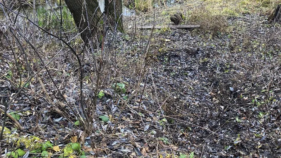 Фото: пресс-служба Администрации г.о. Серпухов