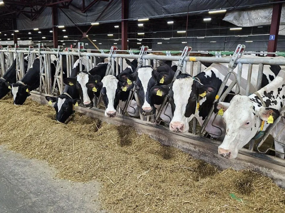 Фото: Агрохолдинг  «ОСП агро»&nbsp;