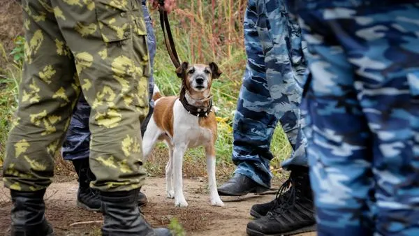 Взрывчатку, наркотики и «преступников» искали в Балашихе