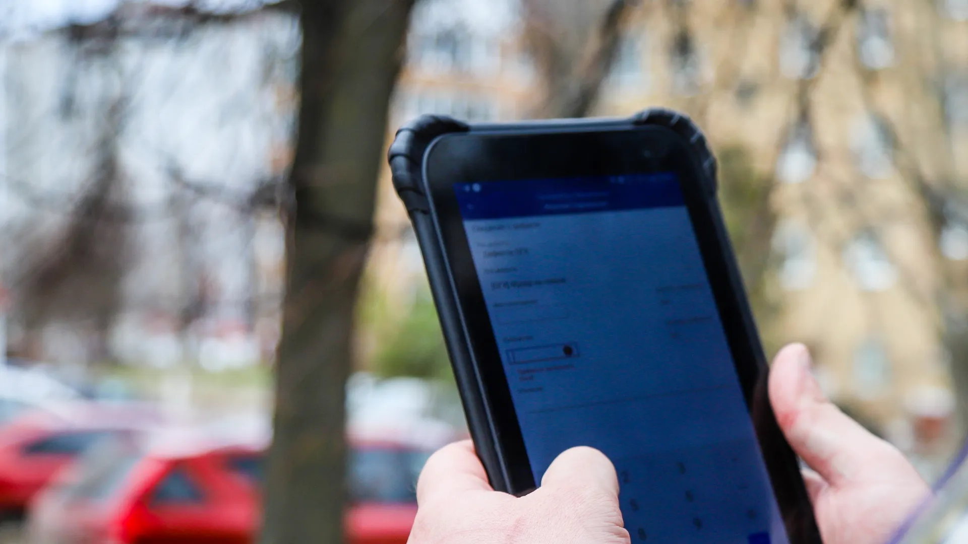 Фото: пресс-служба администрации г.о. Кашира