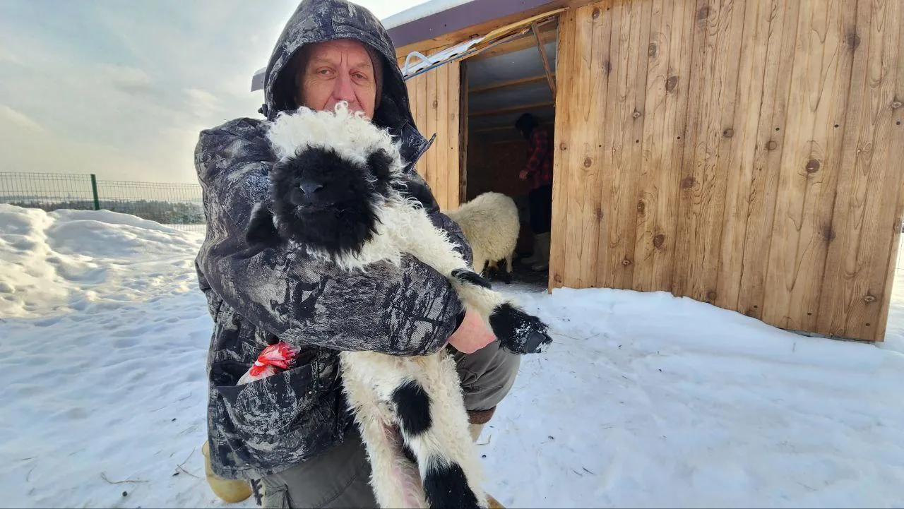 REGIONS/Евгений Рой