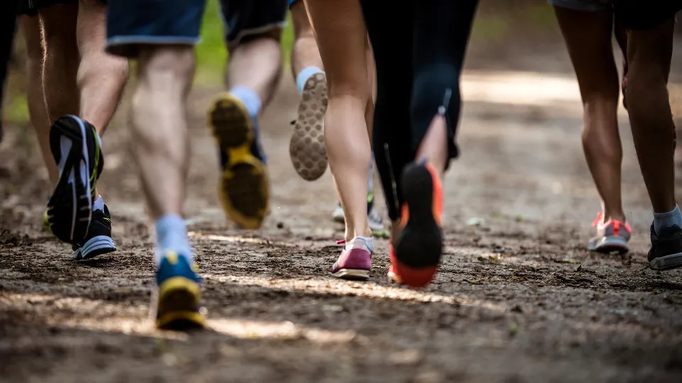 Фото: istockphoto.com/skynesher
