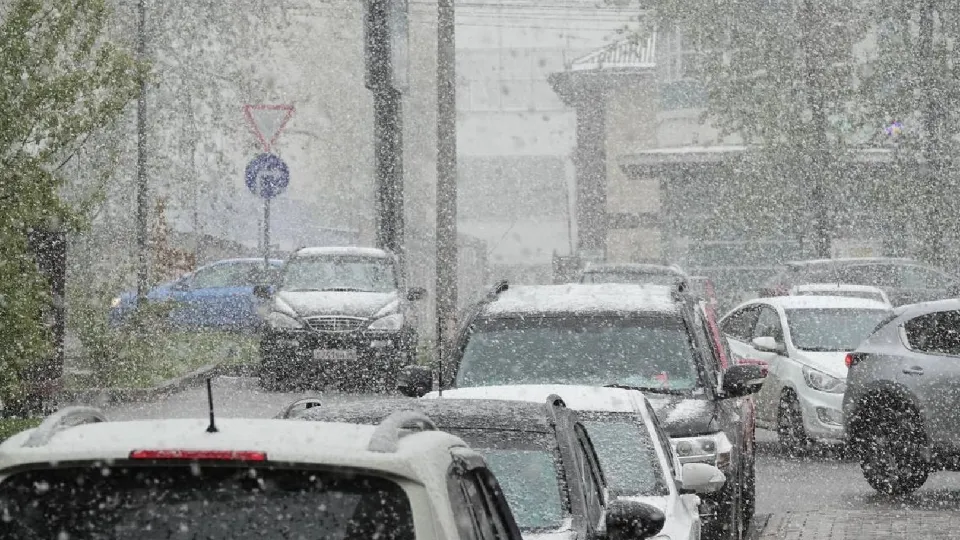 Фото: медиасток.рф