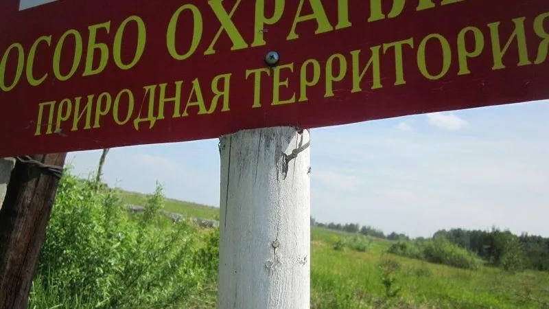Положение о рузском заказнике с краснокнижными видами утвердили в МО