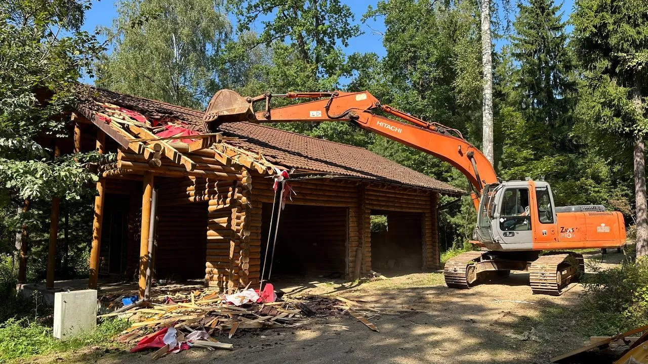 Фото: Комитет лесного хозяйства Московской области