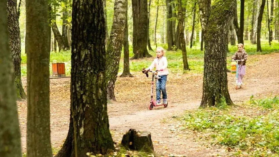 Фото: пресс-служба администрации Дмитровского г.о.