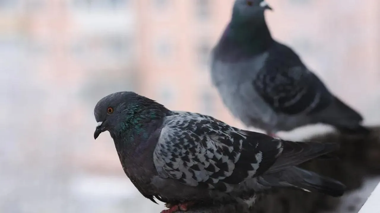 stockphoto.com/Marina Khromova