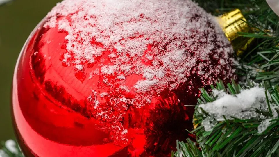 Фото: медиасток.рф