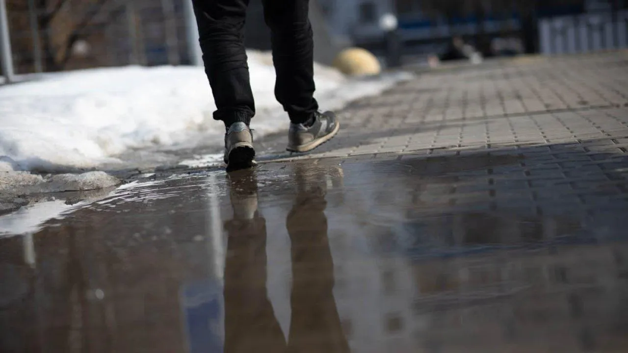 REGIONS/Роман Малышенко