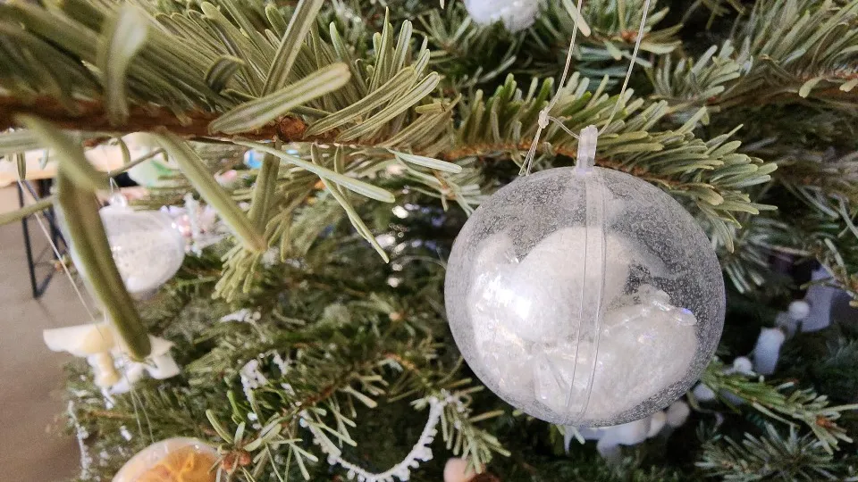 Фото: МедиаБанк Подмосковья/В. Соловьева