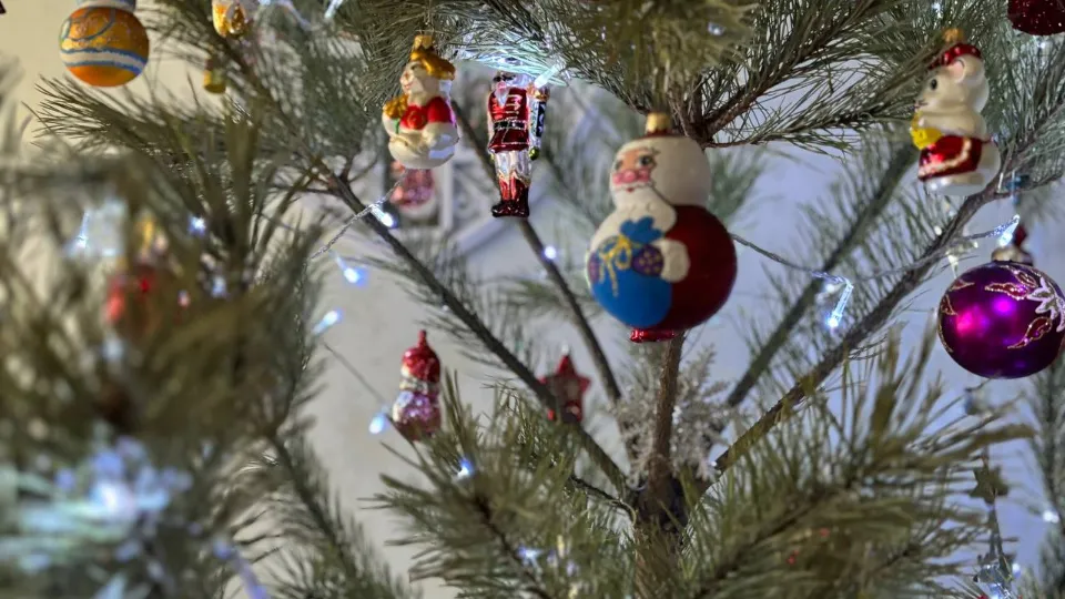 Фото: МедиаБанк Подмосковья/Светлана Плотникова