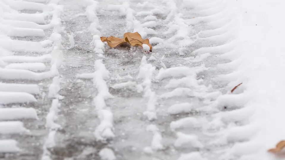 Фото: freepik.com