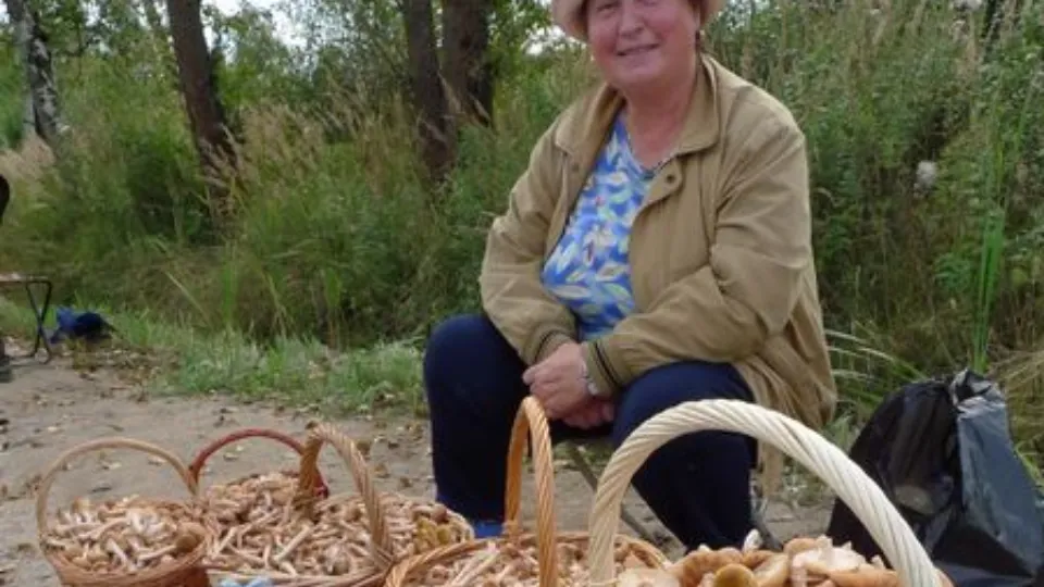 Фото: медиасток.рф