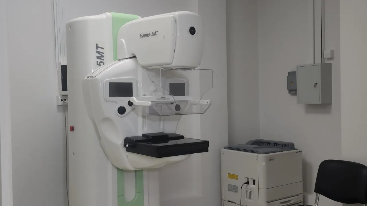 МедиаБанк Подмосковья/Наталья Лымарь