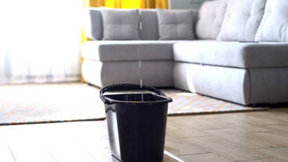 Фото: istockphoto.com