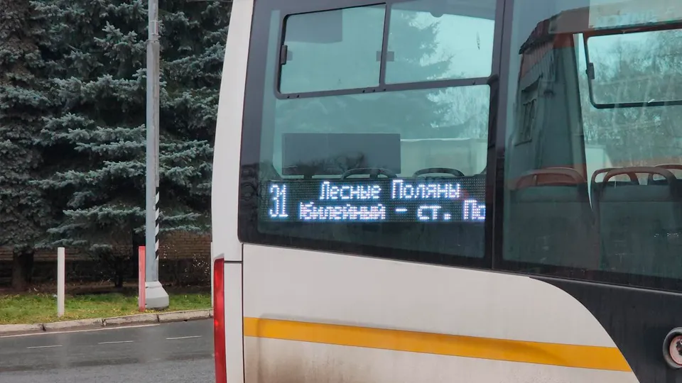 Фото: МедиаБанк Подмосковья/Роман Кутузов