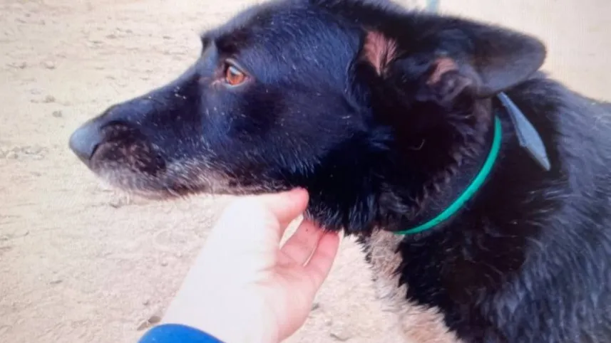 Фото: Екатерина Филиппова