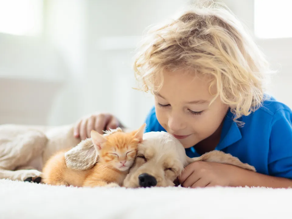 Фото: istockphoto.com/FamVeld