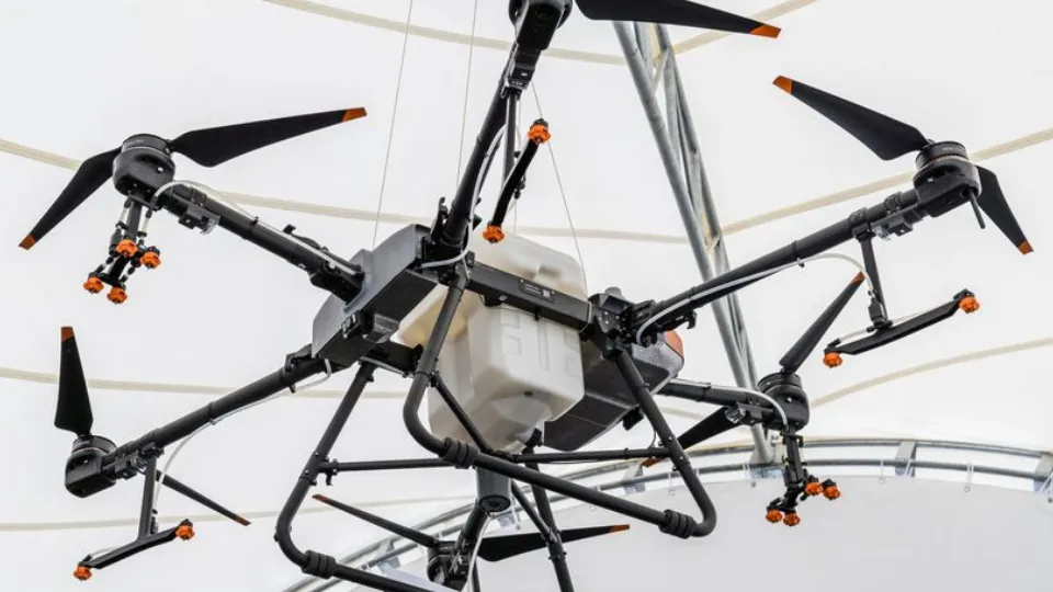 Фото: медиасток.рф