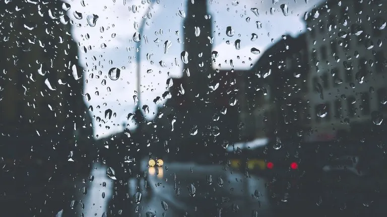 Фото: pxhere.com