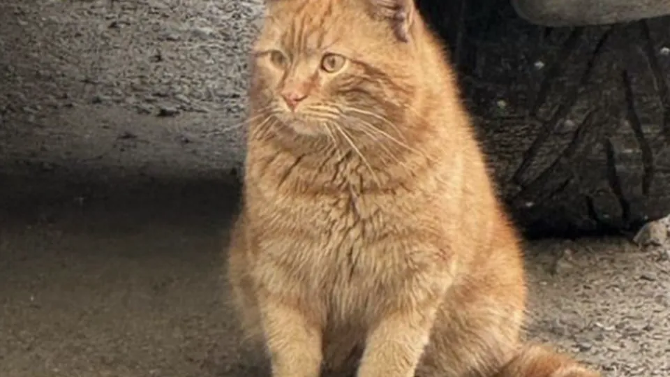 Фото: Лариса Ушакова