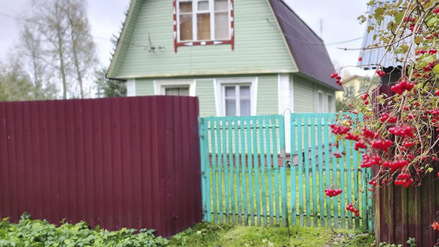 Фото: МедиаБанк Подмосковья/Рой Евгений