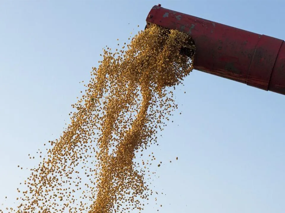 «Принципиально новая сделка»: стало известно, о чем Эрдоган может договориться с Путиным, обсуждая зерно