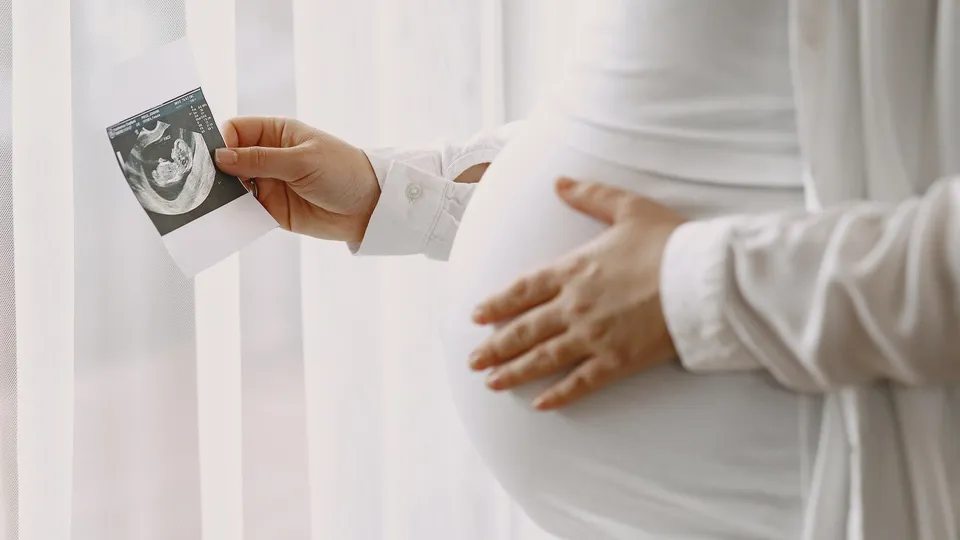 Фото: freepik.com