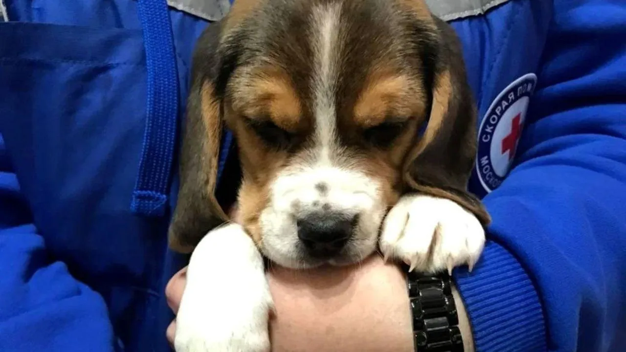 пресс-служба московской областной станции скоро