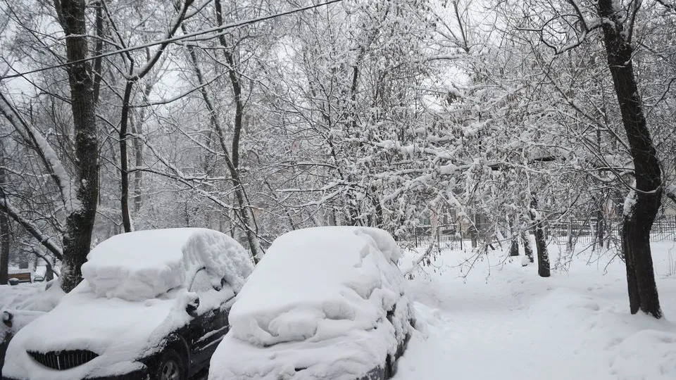 Фото: медиасток.рф
