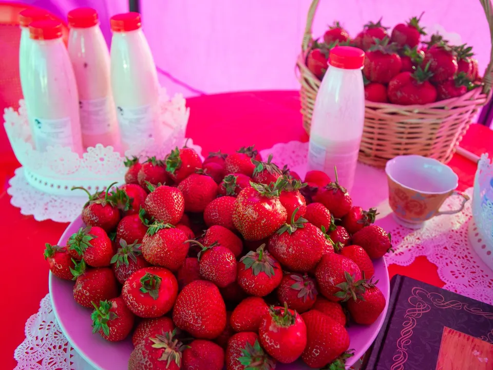 Фото: Министерство экономики и финансов МО