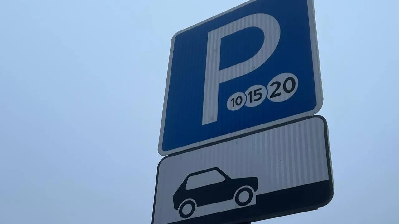 В Подмосковье за год разрешения на бесплатную парковку получили около 10 тыс. человек