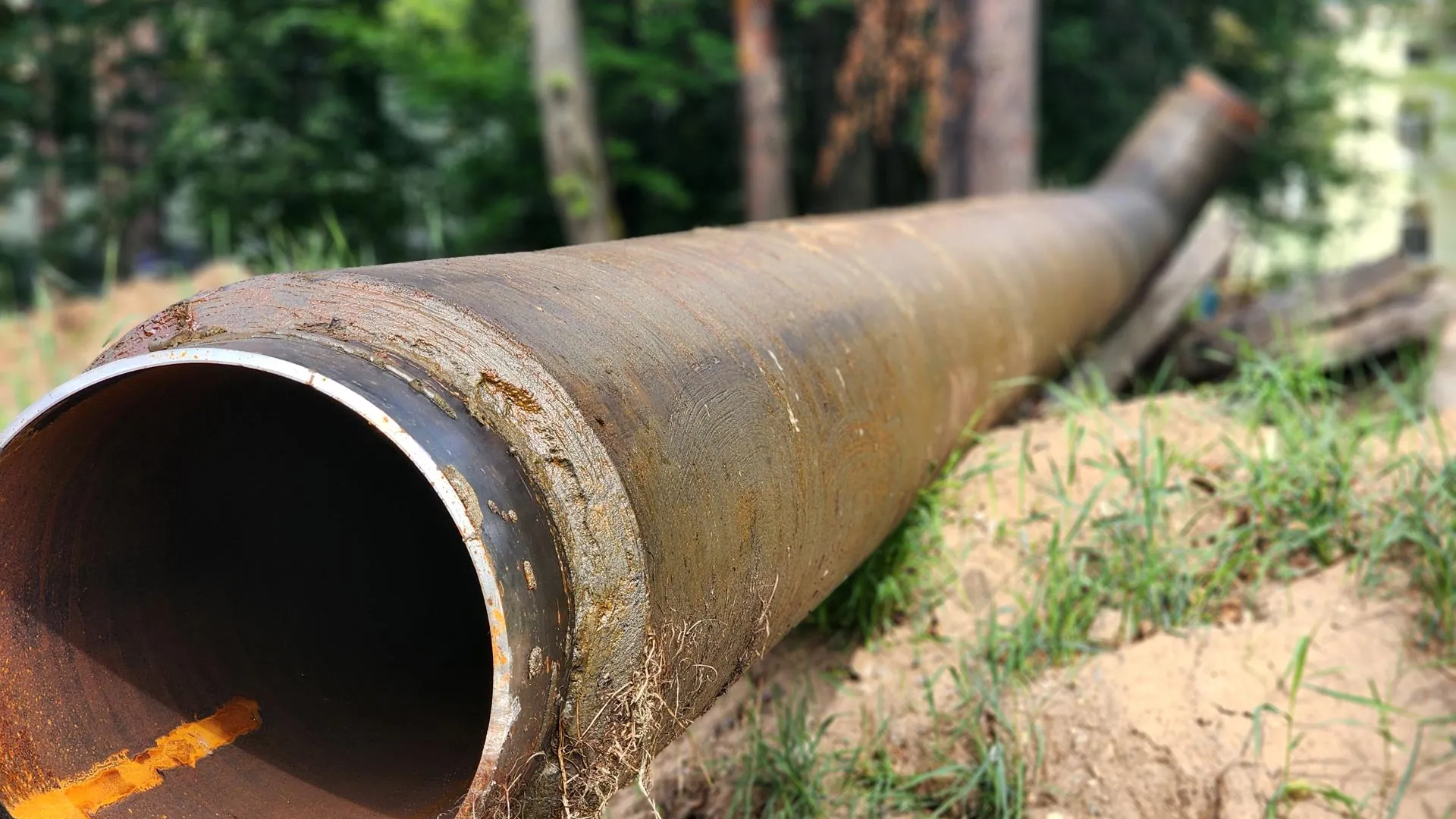 Фото: Полина Пахомова