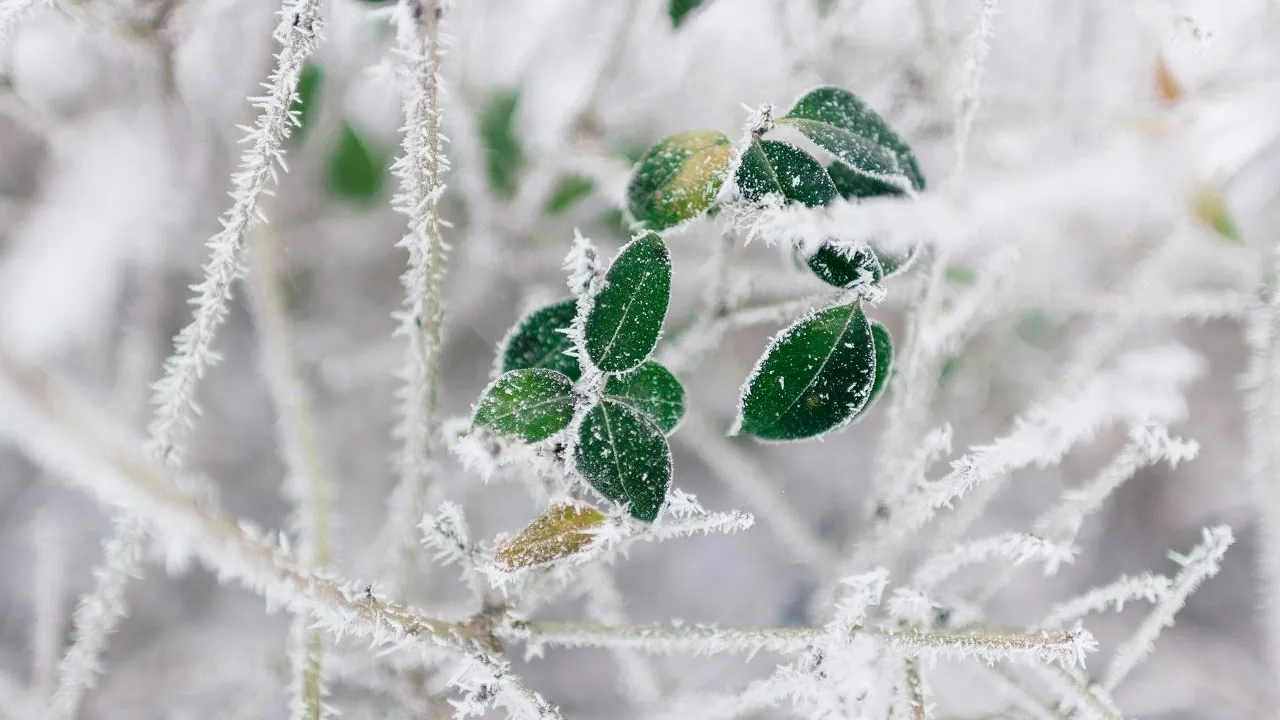 Rodion Kutsaiev/Unsplash