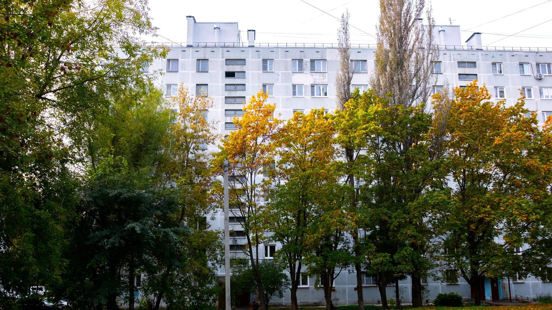 Фото: Медиабанк Подмосковья/Александр Щербаков