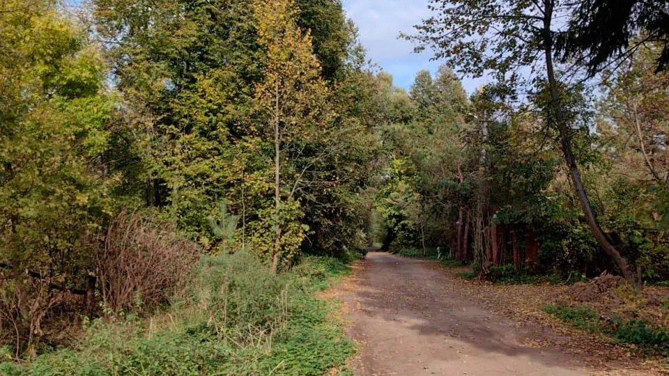 Фото: пресс-служба администрации г.о. Солнечногорск